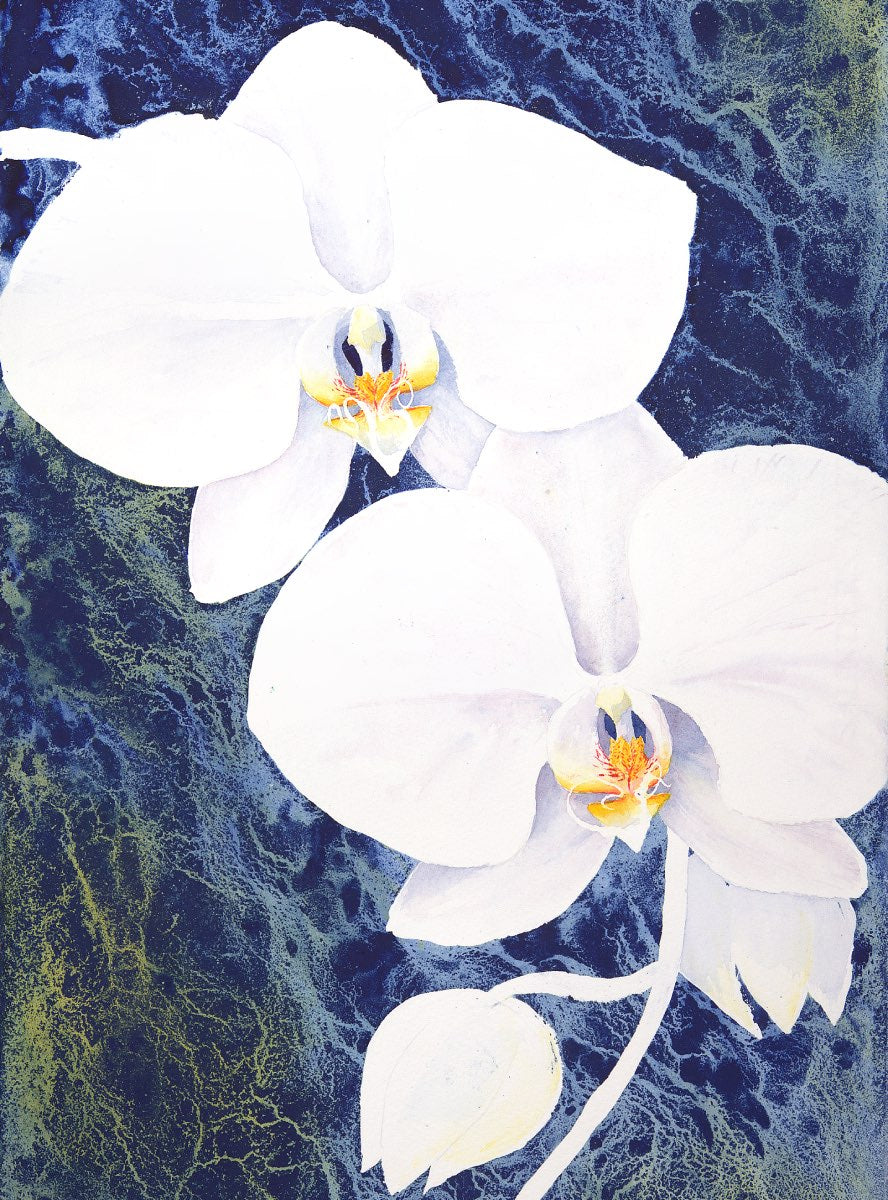 Orchid watercolor by Nathaniel Norton