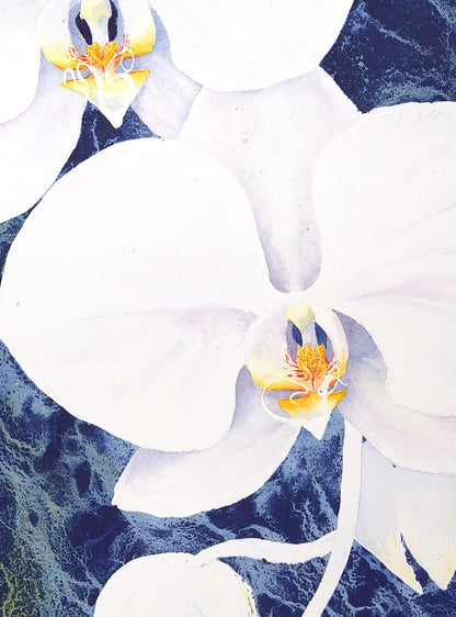 Orchid watercolor by Nathaniel Norton